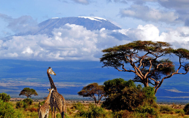 Ethiopia, Tanzania and Morocco ranked Africa’s top tourism performers
