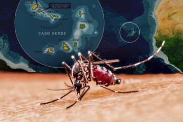 Cabo Verde’s malaria victory is a blueprint for Africa