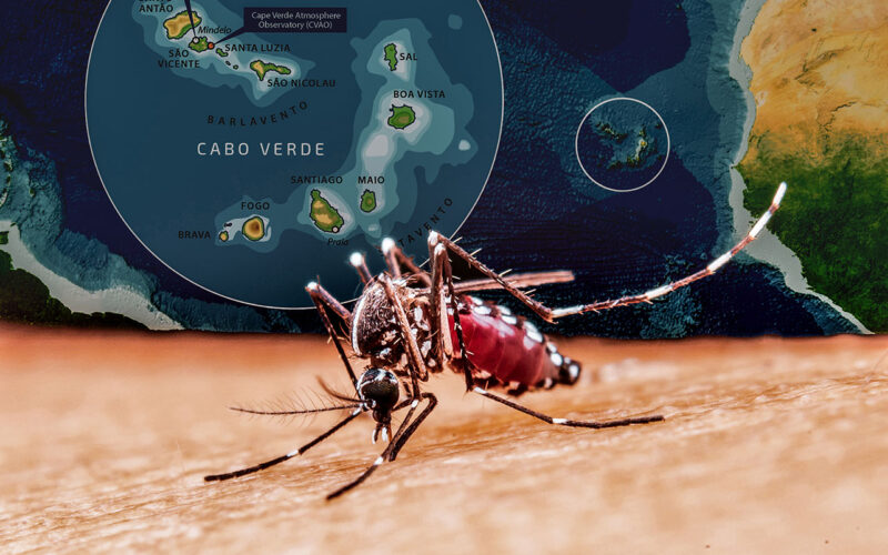 Cabo Verde’s malaria victory is a blueprint for Africa