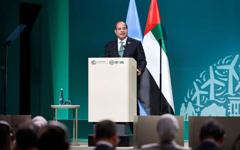 Sisi tells Egyptians to bear with economic pain, says mega-projects provide jobs