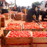 Ghana_tomatoe-market