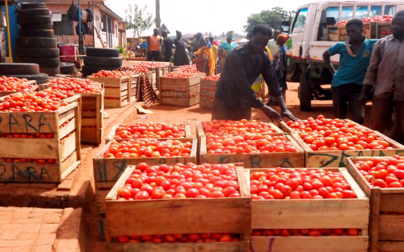 Ghana wants to make importing food like rice and tomatoes more costly: expert explains why it’s a bad idea