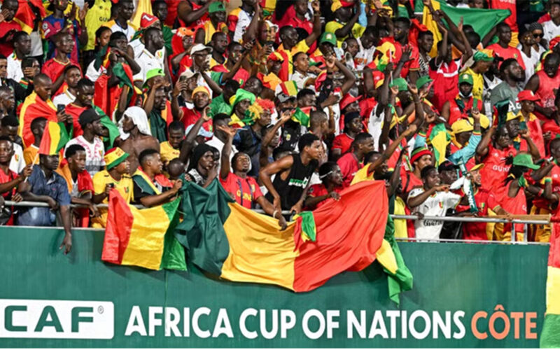 Guinea team call on fans to tone down celebrations