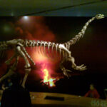 Massospondylus_Ultimate_Dinosaurs