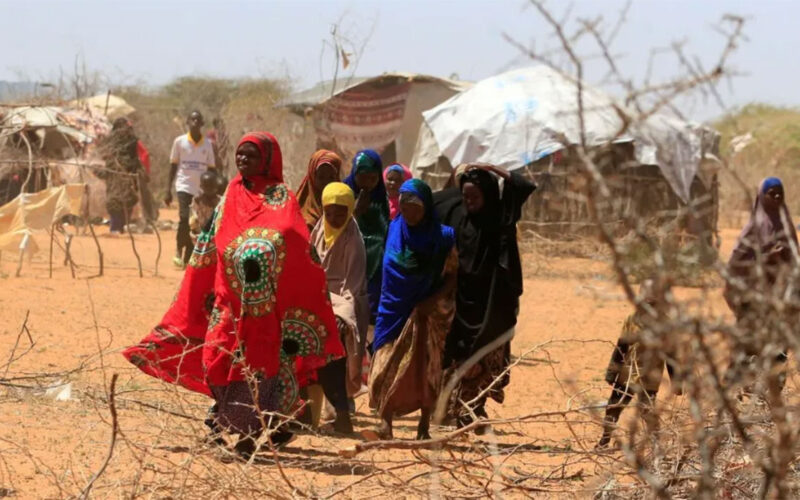 Kenya’s bold new Shirika refugee plan is model for future