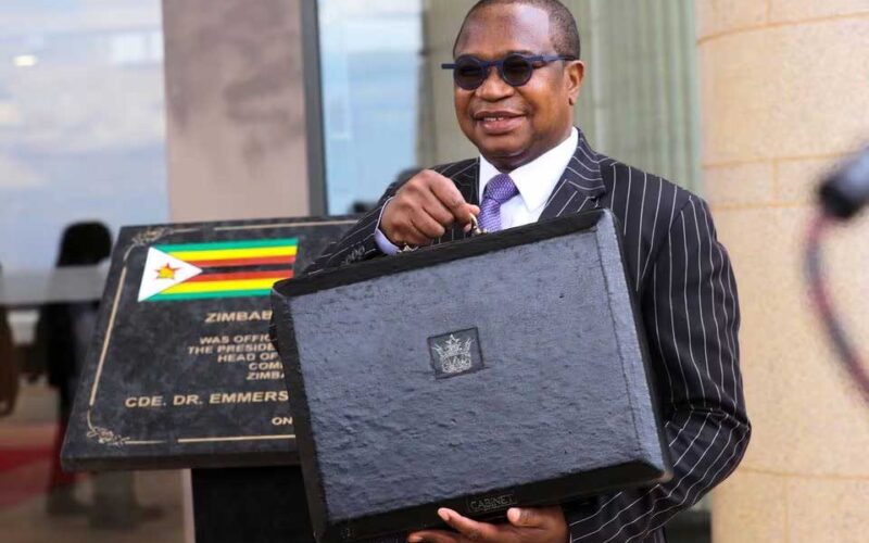 Zimbabwe to link exchange rate to hard assets, create currency board