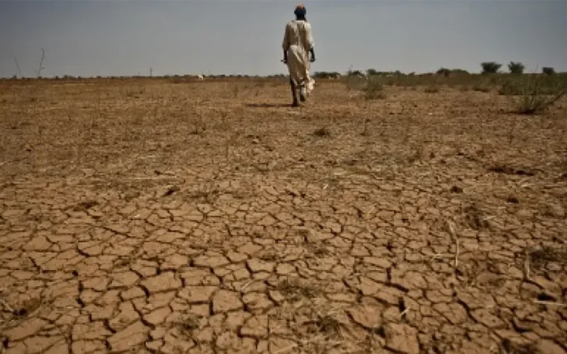 Climate change: alarming Africa-wide report predicts 30% drop in crop revenue, 50 million without water