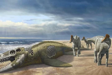 Duckbill dinosaur discovery in Morocco – expert unpacks the mystery of how they got there