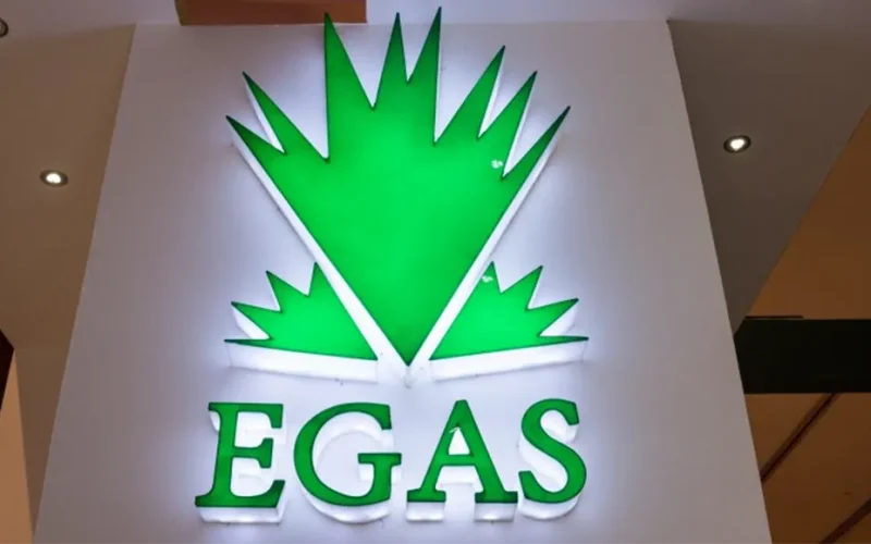 Egyptian Natural Gas Holding to expand in Saudi Arabia