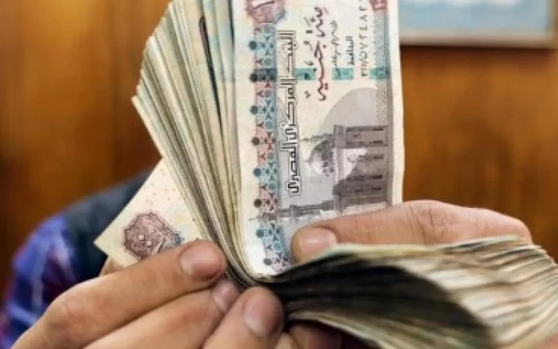Foreign investors return to Egyptian T-bill auction after devaluation, bankers say