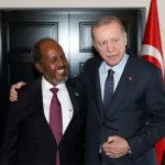 Hassan Sheikh Mohamud and Recep Tayyip Erdogan