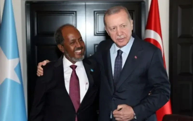 Somalia-Turkey maritime deal is a win for both countries, and not a power play for the Horn of Africa