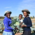 SA_Agriculture_Land reform Farmers