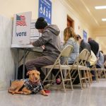 San-Francisco-City-Hall-voting-center