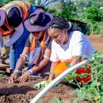 Lift as you rise - A young agri-entrepreneur star is teaching others how to succeed in small-scale farming South_Africa_sustainable_farming_8