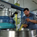 Tunisian olive oil producer_Mustapha Mtiraoui