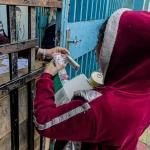 Gaza in-depth: Why Israel wants to end UNRWA and what its closure would mean young Palestinian girl collects food items