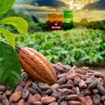 Ghana_and_Cote_d_Ivoire_look_to_reshape_the_world_s_cocoa_industry_Africa_holds_more_than_75_of_global_production