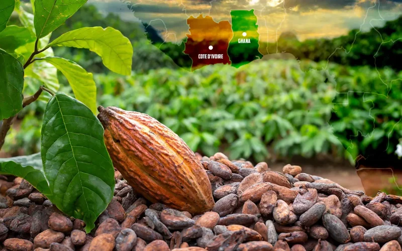 Ghana and Cote d’Ivoire look to reshape the world’s cocoa industry