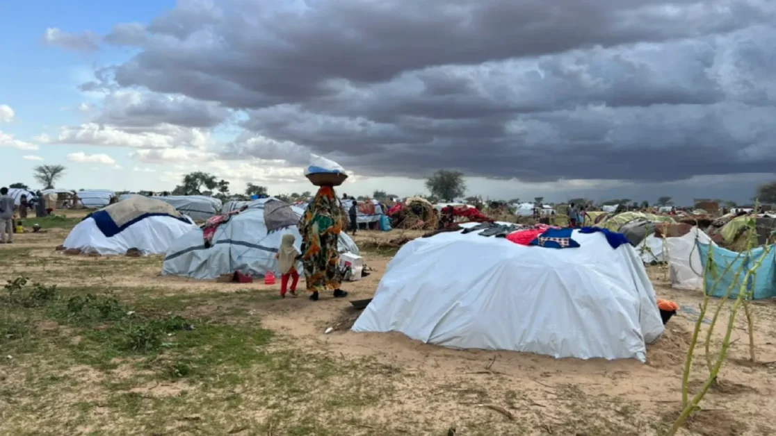 To avert catastrophe in Sudan, the international community must immediately avail resources for life-saving humanitarian aid – Mbeki