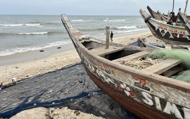 West Africa’s falling fish stocks: illegal Chinese trawlers, climate change and artisanal fishing fleets to blame