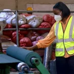 Freee Recycling_Ifedolapo Runsewe