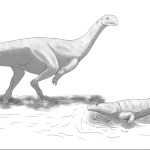 Artist reconstruction of Musankwa sanyatiensis