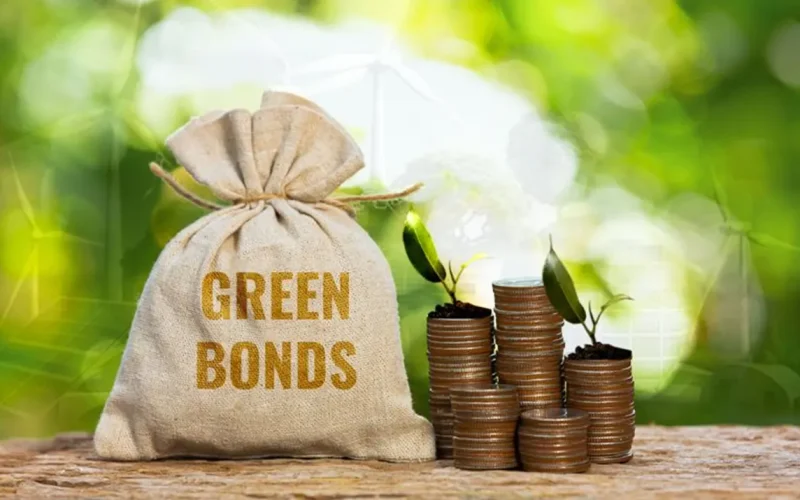 Africa’s green bond market is booming – report