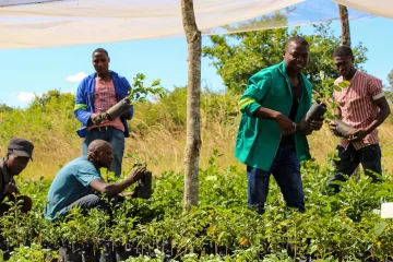 Young African innovators are leading the charge on food security
