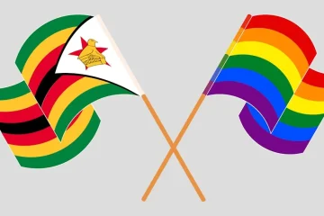 TikTok activism: how queer Zimbabweans use social media to show love and fight hate