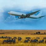 Booming_demand_lifts_African_airlines_back_to_profit_for_second_straight_year_copy