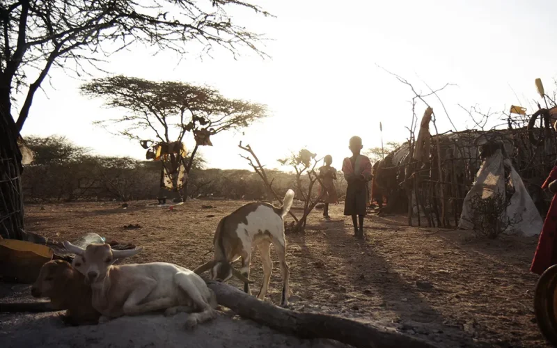Kenya’s digital divide: pastoralists are key to the country’s economy, but they’re being left behind