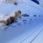 swimmers_perspective