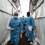 Mpox: African countries have beaten disease outbreaks before – here’s what it takes Health workers_Mpox