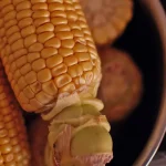Maize prices in Kenya and Malawi have soared, but Tanzania’s haven’t: economists explain why Maize