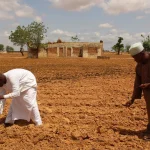 Farmers planting_Yobe State_Nigeria