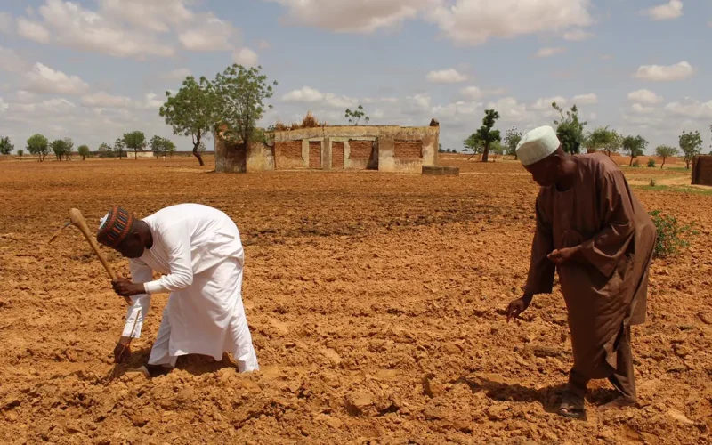 Nigerian farmers lack insurance: payouts triggered by weather data offer a solution