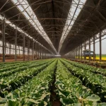 Leonardo_Kino_XL_South_African_agriculture_needs_to_crack_the_0