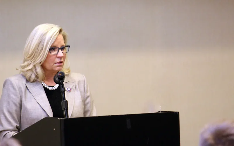 Liz Cheney says she’ll vote for Kamala Harris The African Mirror