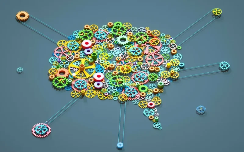 Online classrooms where students run the show: we tested how this unconventional model can work