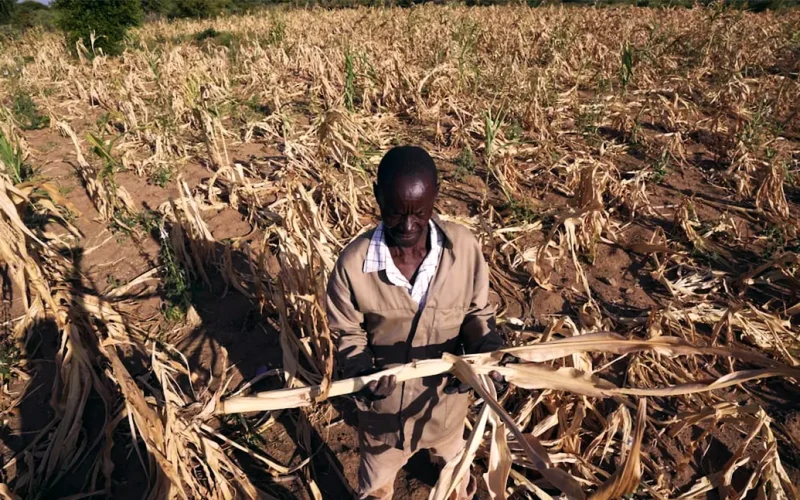 Extreme weather is disrupting lives in southern Africa: new policies are needed to keep the peace