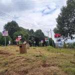 Flags indicate how many trees each donor country has planted
