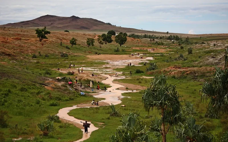 Madagascar’s mining rush has caused no more deforestation than farming – new study
