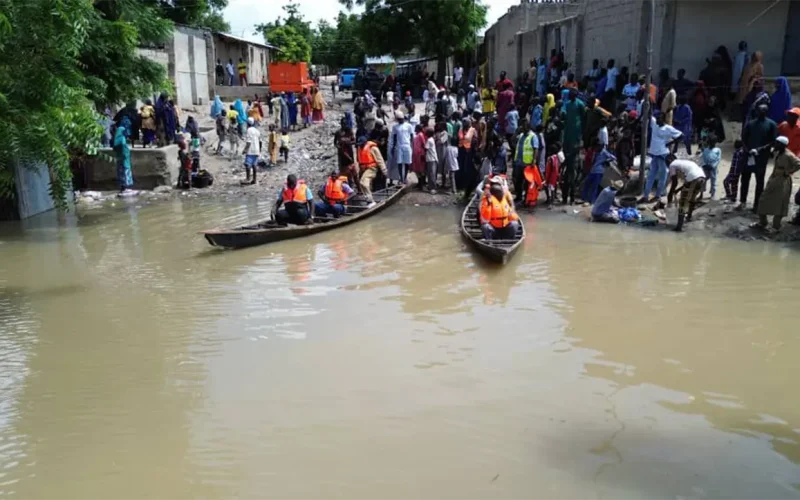 Post-flood recovery: lessons from Germany and Nigeria on how to help people cope with loss and build resilience