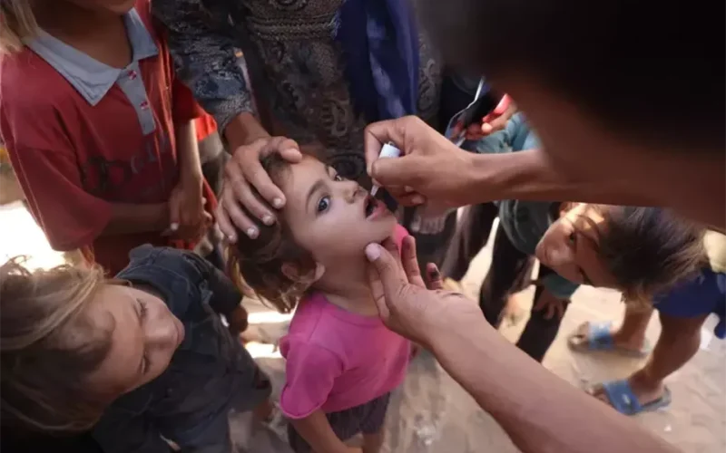 Gaza: Polio campaign reaches target, additional medical corridors needed, says WHO