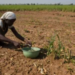 Leonardo_Kino_XL_Climate_change_alarmingAfricawidereport_predi_3