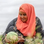 farmer_Galmudug state_Somalia