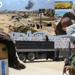 Collage_northern Gaza