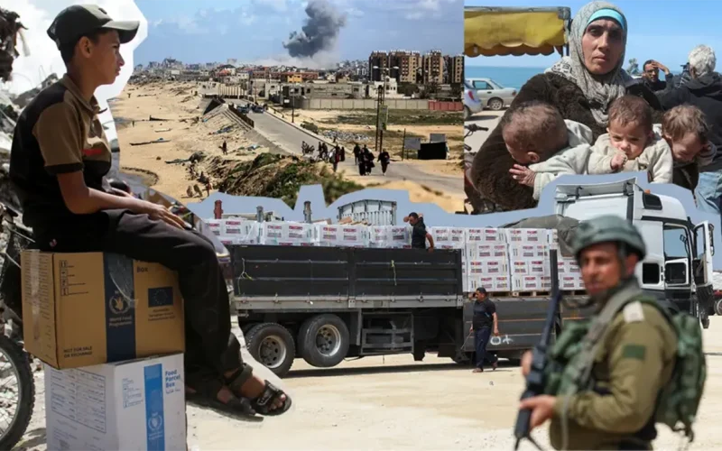 Targeted aid killings: How Israel starved a population and sowed chaos in northern Gaza