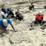 Excavating_fossilised hominin footprints